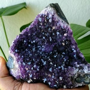5" Tall Amethyst Cluster